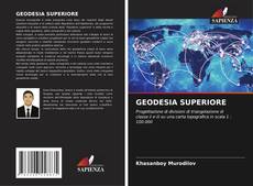 Bookcover of GEODESIA SUPERIORE