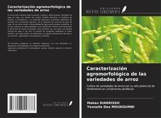 Buchcover von Caracterización agromorfológica de las variedades de arroz
