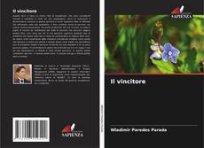 Bookcover of Il vincitore