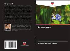 Bookcover of Le gagnant