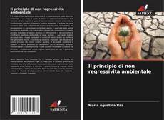 Bookcover of Il principio di non regressività ambientale