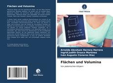 Bookcover of Flächen und Volumina
