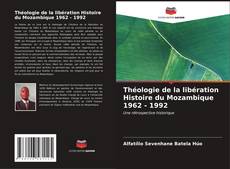 Théologie de la libération Histoire du Mozambique 1962 - 1992 kitap kapağı
