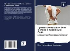 Buchcover von Профессиональная боль в спине в провинции Леон