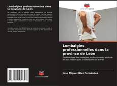 Copertina di Lombalgies professionnelles dans la province de León