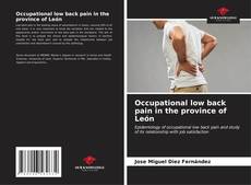 Portada del libro de Occupational low back pain in the province of León