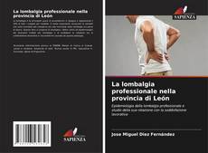 Обложка La lombalgia professionale nella provincia di León
