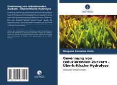 Bookcover of Gewinnung von reduzierenden Zuckern - Überkritische Hydrolyse