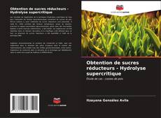 Capa do livro de Obtention de sucres réducteurs - Hydrolyse supercritique 