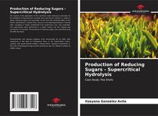 Couverture de Production of Reducing Sugars - Supercritical Hydrolysis