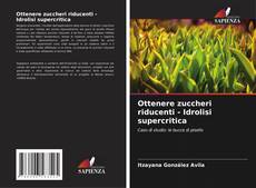 Copertina di Ottenere zuccheri riducenti - Idrolisi supercritica