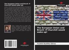 Capa do livro de The European Union and Brexit: If Churchill would wake up! 