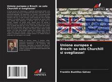Copertina di Unione europea e Brexit: se solo Churchill si svegliasse!
