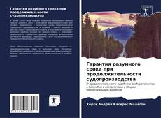 Bookcover of Гарантия разумного срока при продолжительности судопроизводства