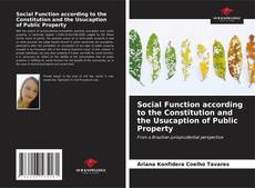 Copertina di Social Function according to the Constitution and the Usucaption of Public Property