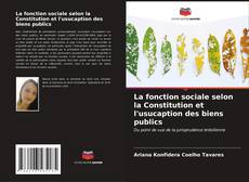 Buchcover von La fonction sociale selon la Constitution et l'usucaption des biens publics