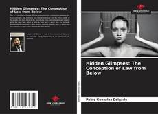 Capa do livro de Hidden Glimpses: The Conception of Law from Below 