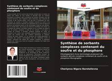 Synthèse de sorbants complexes contenant du soufre et du phosphore kitap kapağı