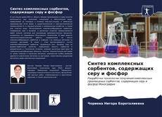 Buchcover von Синтез комплексных сорбентов, содержащих серу и фосфор