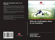 Bookcover of Rôle de l'hydrogène dans la vie humaine