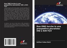 Capa do livro de Due ONG turche in una prospettiva pluralista: IHD e KIH-YÇV 