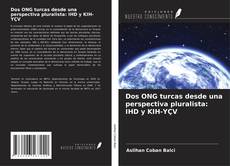 Dos ONG turcas desde una perspectiva pluralista: IHD y KIH-YÇV kitap kapağı