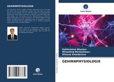 GEHIRNPHYSIOLOGIE kitap kapağı