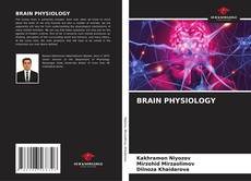 Buchcover von BRAIN PHYSIOLOGY