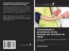 Bookcover of Conocimiento y prevalencia de las lesiones por pinchazo de aguja