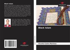 Capa do livro de Black Islam 