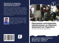 Bookcover of Программа консервации, применяемая на обувном предприятии Пурепеча