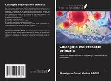 Colangitis esclerosante primaria kitap kapağı