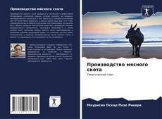 Bookcover of Производство мясного скота