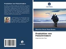 Capa do livro de Produktion von Fleischrindern 