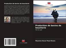 Capa do livro de Production de bovins de boucherie 