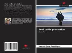 Обложка Beef cattle production