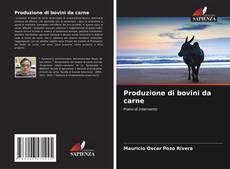 Bookcover of Produzione di bovini da carne