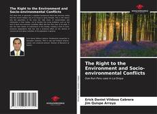 Couverture de The Right to the Environment and Socio-environmental Conflicts