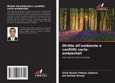 Buchcover von Diritto all'ambiente e conflitti socio-ambientali