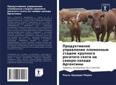 Capa do livro de Продуктивное управление племенным стадом крупного рогатого скота на северо-западе Аргентины 
