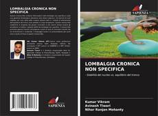 LOMBALGIA CRONICA NON SPECIFICA的封面
