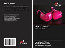 Buchcover von Cancro al seno