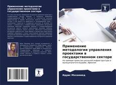 Bookcover of Применение методологии управления проектами в государственном секторе