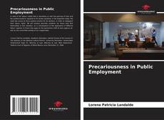 Buchcover von Precariousness in Public Employment
