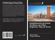Estabilización de Arena Arcillosa con Fibra Orgánica: Paja de Arroz的封面