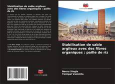 Couverture de Stabilisation de sable argileux avec des fibres organiques : paille de riz