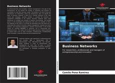 Business Networks kitap kapağı