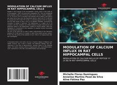 MODULATION OF CALCIUM INFLUX IN RAT HIPPOCAMPAL CELLS kitap kapağı