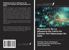 Modulación De La Afluencia De Calcio En Células Del Hipocampo De Rata kitap kapağı