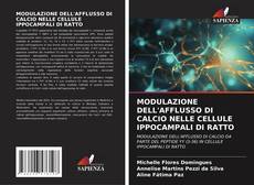 MODULAZIONE DELL'AFFLUSSO DI CALCIO NELLE CELLULE IPPOCAMPALI DI RATTO的封面